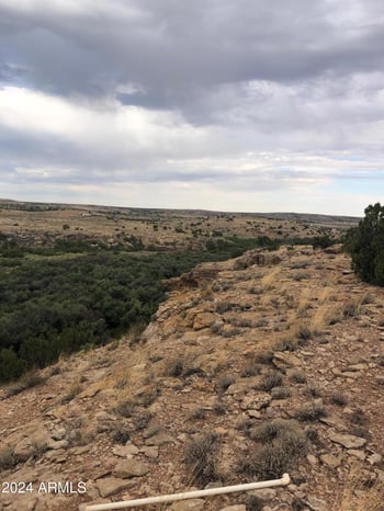 100 River Springs Ranch -- #100, St Johns, AZ 85936