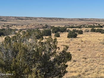 100 River Springs Ranch -- #100, St Johns, AZ 85936