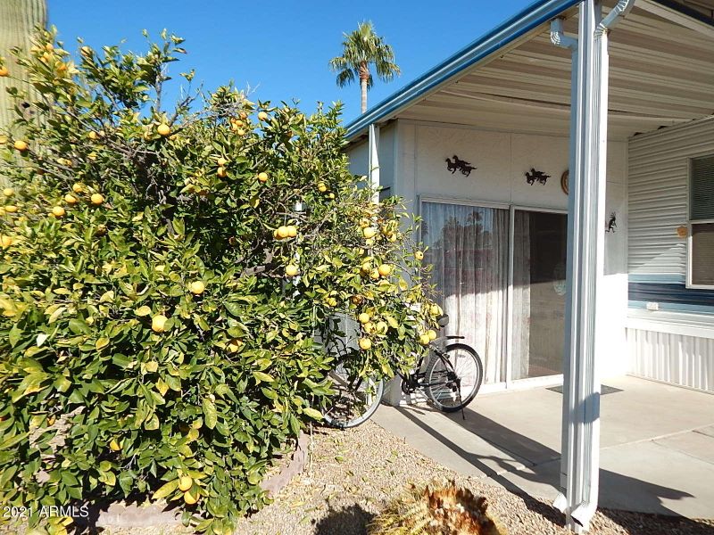 1000 S Idaho Rd #2170, Apache Junction, AZ 85119
