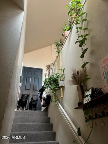 1001 Pasadena -- #44, Mesa, AZ 85201