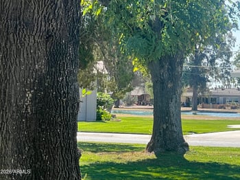 10013 Lakeview Cir, Sun, AZ 85351