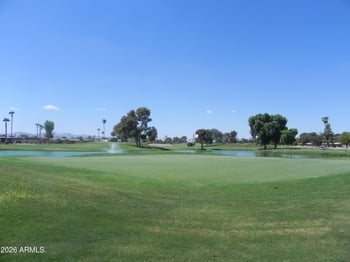 10022 W Kingswood Cir, Sun City, AZ 85351