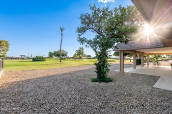10025 W Pineaire Dr, Sun City, AZ 85351