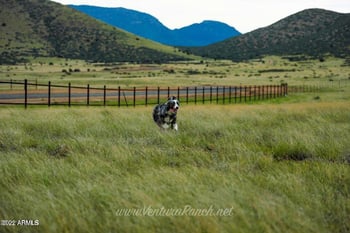 10030 Ventura Way #58, Prescott Valley, AZ 86314