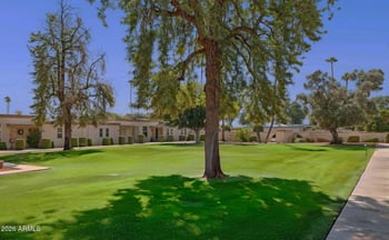 10034 Hawthorn Dr, Sun City, AZ 85351