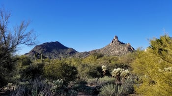 10040 Happy Valley Rd #646, Scottsdale, AZ 85255