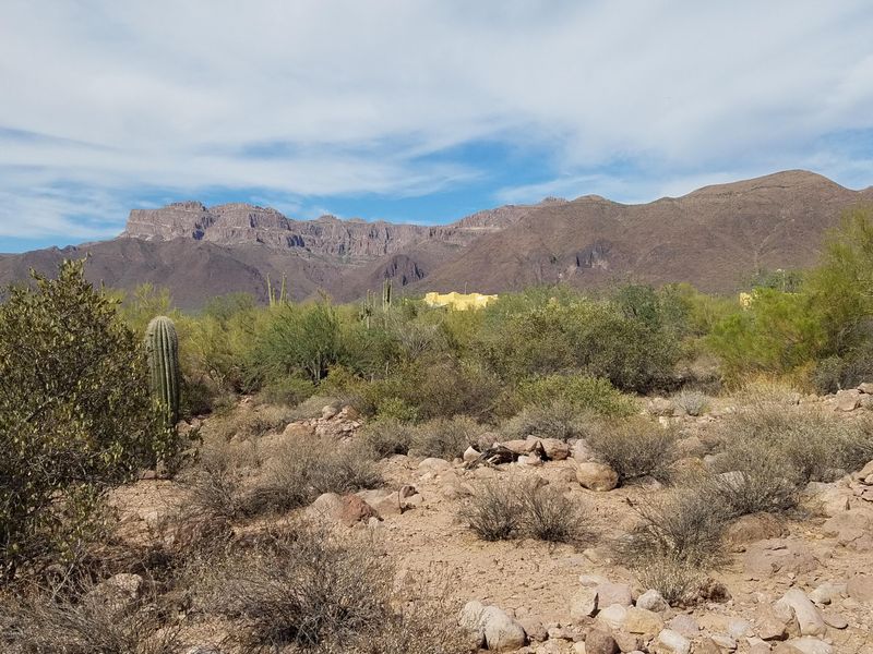 10046 E Cloudview Ave #005x, Gold Canyon, AZ 85118
