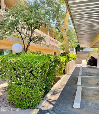 1005 W 5th St #203, Tempe, AZ 85281