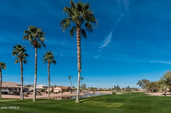 10050 Coopers Hawk Dr, Sun Lakes, AZ 85248