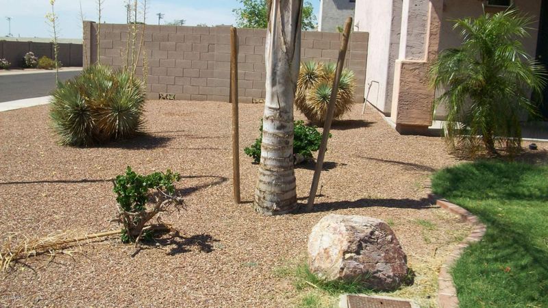 1006 E Bowker St, Phoenix, AZ 85040