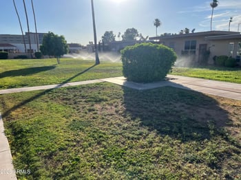 10060 Royal Oak Rd #F, Sun City, AZ 85351