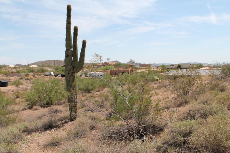 101 W Briles Rd #-, Phoenix, AZ 85085