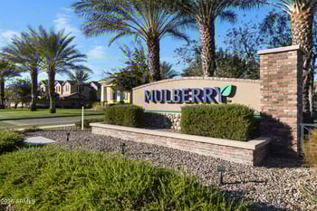 10104 Nichols Ave, Mesa, AZ 85209