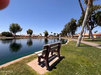 10117 Chestnut Dr, Sun Lakes, AZ 85248