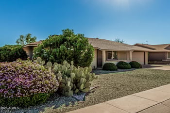 10129 Pine Springs Dr, Sun City, AZ 85373