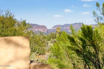 10151 E Rugged Mountain Dr, Gold Canyon, AZ 85118