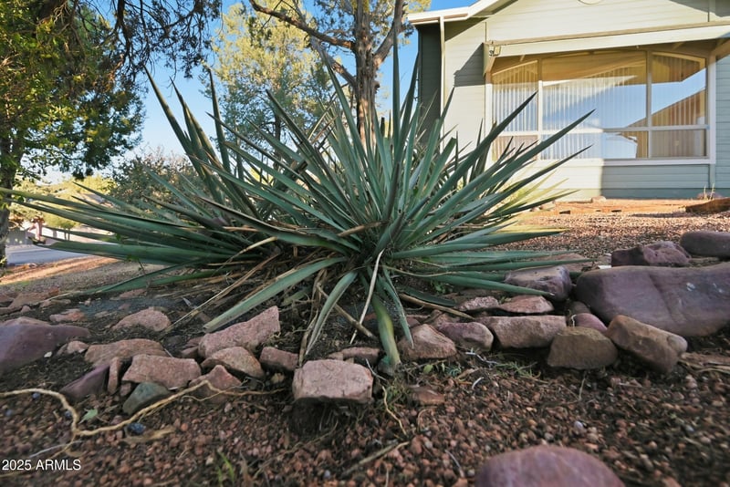 1017 Ponderosa St, Payson, AZ 85541