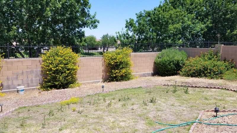 1018 E Gwen St, Phoenix, AZ 85042