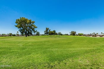 10189 Pineaire Dr, Sun City, AZ 85351