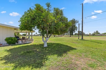 10207 Snead Cir, Sun City, AZ 85351