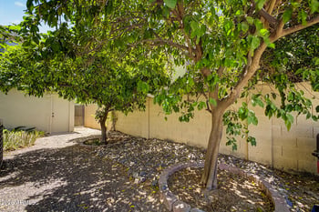 1022 Juanita Ave, Gilbert, AZ 85233