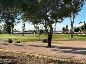 10226 Michigan Ave, Sun Lakes, AZ 85248