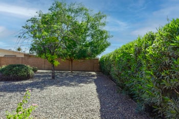 10231 Audrey Dr, Sun City, AZ 85351