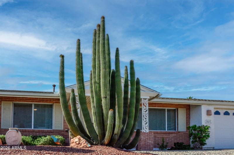 10231 Audrey Dr, Sun City, AZ 85351