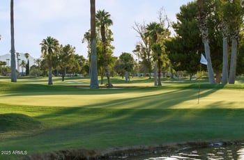 10237 Burns Dr, Sun City, AZ 85351