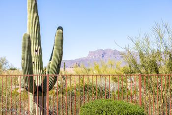 10238 Peralta Canyon Dr, Gold Canyon, AZ 85118