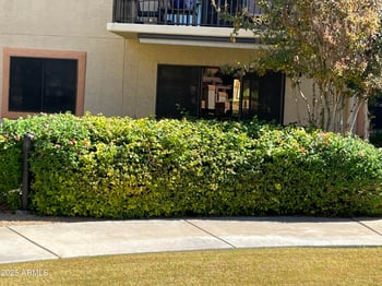 10330 Thunderbird Blvd #C102, Sun City, AZ 85351