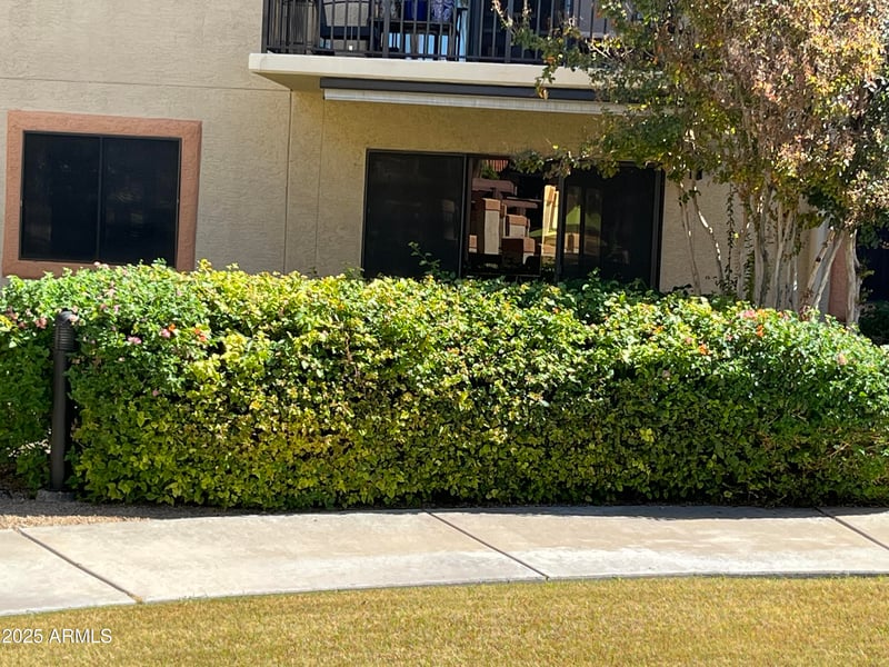 10330 Thunderbird Blvd #C102, Sun City, AZ 85351