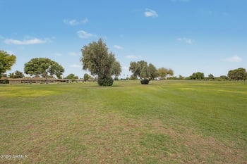 10333 Highwood Ln, Sun City, AZ 85373