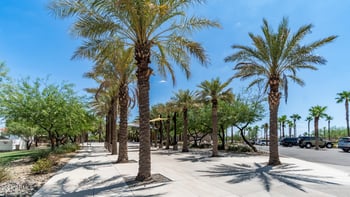 10356 Wavelength Ave, Mesa, AZ 85212