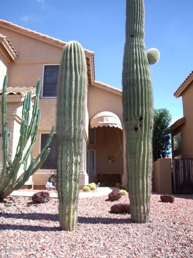10365 E Celtic Dr, Scottsdale, AZ 85260