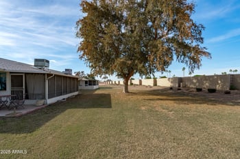 10410 Campana Dr, Sun, AZ 85351