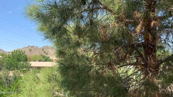 10410 N Cave Creek Rd #2100, Phoenix, AZ 85020