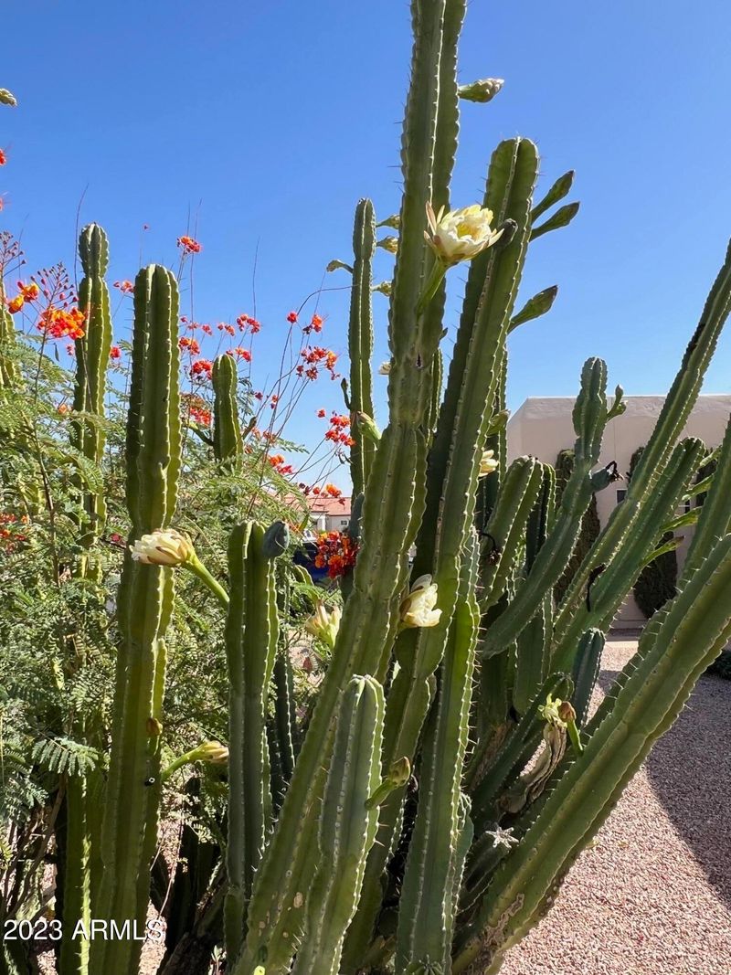 10421 E Lambert Dr, Sun Lakes, AZ 85248