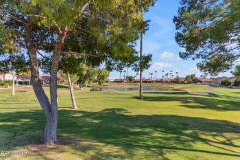 10422 E Regal Dr, Sun Lakes, AZ 85248