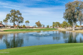 10430 Chestnut Dr, Sun Lakes, AZ 85248