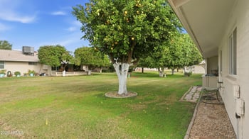 10431 Tropicana Cir, Sun City, AZ 85351