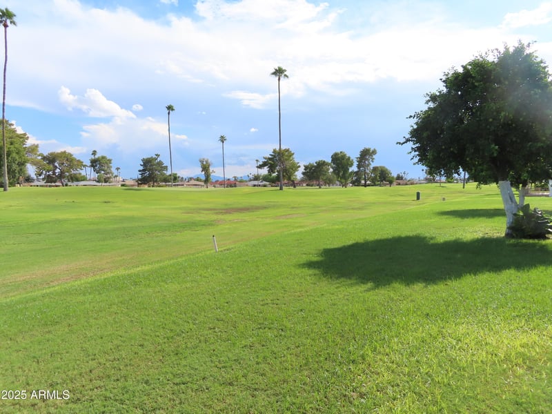 10442 Tropicana Cir, Sun City, AZ 85351