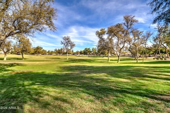 1048 Swan Dr, Chandler, AZ 85286