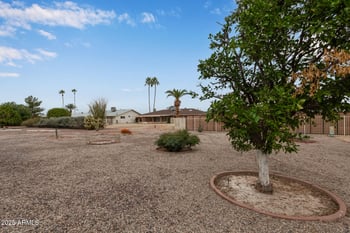 10502 Meade Dr, Sun City, AZ 85351