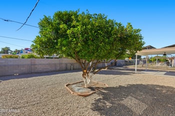 10537 La Jolla Dr, Sun City, AZ 85351