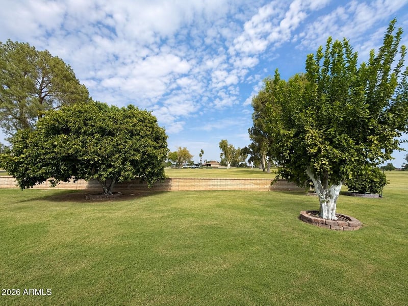 10542 W Tropicana Cir, Sun City, AZ 85351