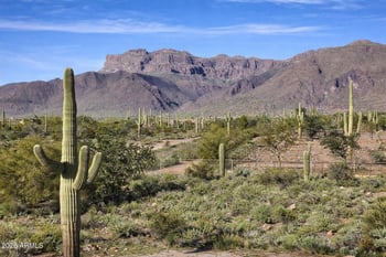 10558 Cloudview Ave, Gold Canyon, AZ 85118