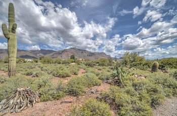 10581 Valley View Dr #A, Gold Canyon, AZ 85118