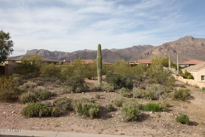 10584 Walking Stick Way #4, Gold Canyon, AZ 85118