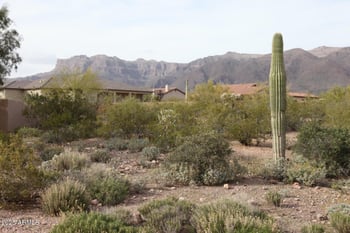 10584 Walking Stick Way #4, Gold Canyon, AZ 85118